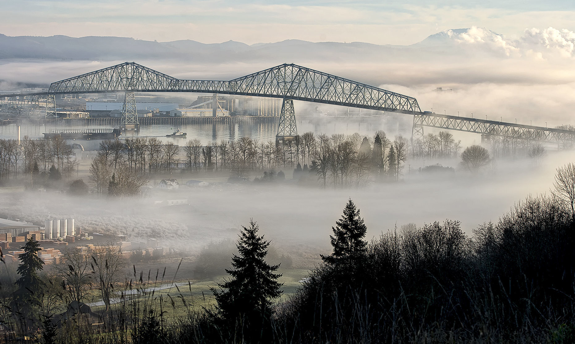 A blanket of fog